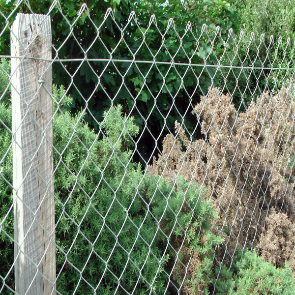 Chain Link Fence
